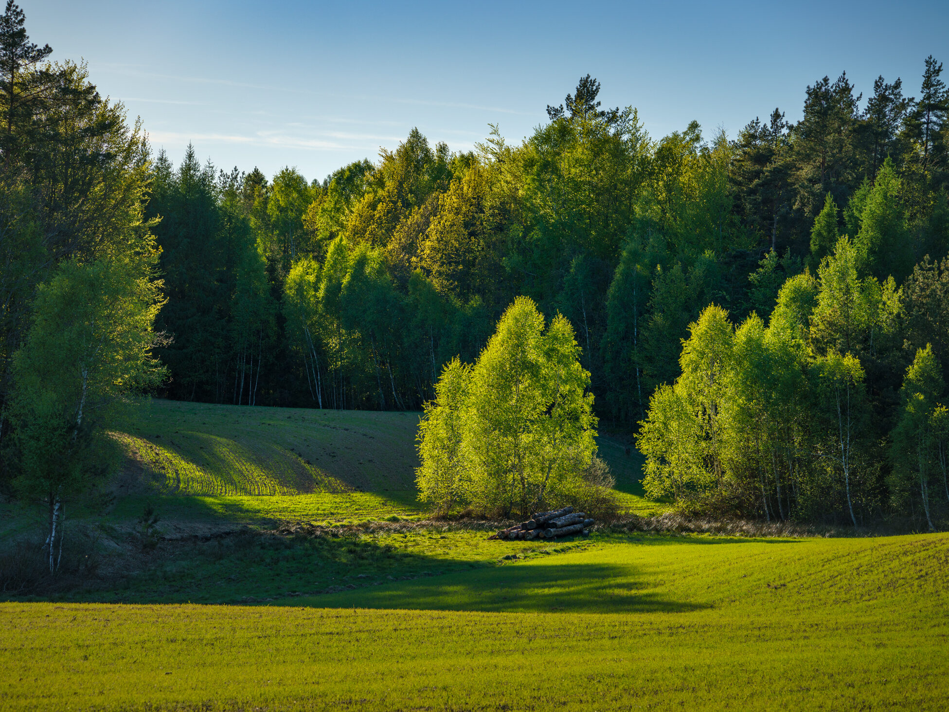 home dsc00941