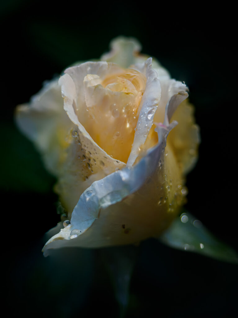 p6210502