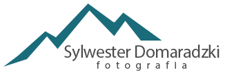 logo studio dark
